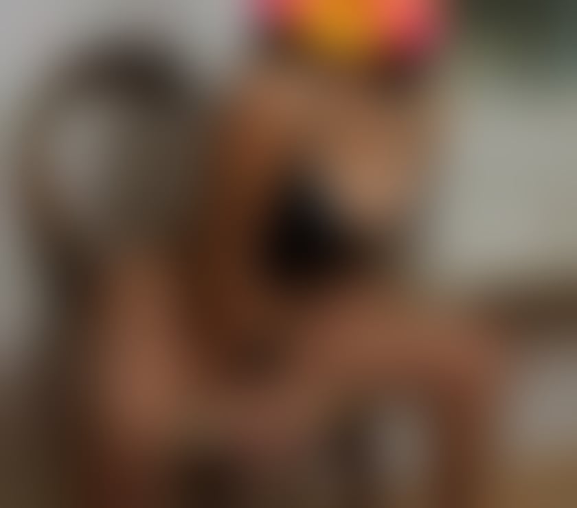 Escorts Bristol City Centre Bristol - Photos for Incall outcall party girl best owo 🥰🥰🥰🥰