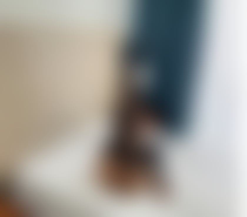Escorts Oxfordshire Oxford - Photos for ❤️🥵MAYA NEW GIRL OWO GFE OUTCALL 🥵❤️