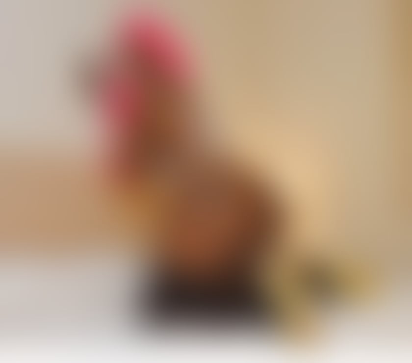 Trans Escorts Leicestershire Blaby - Photos for Naughty girl lover