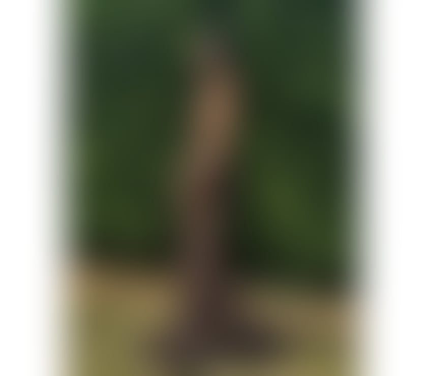  Escorts Workington Cumberland - Photos for Hello. babes!! I’m Amanda Thailand 🔥🔥🔥