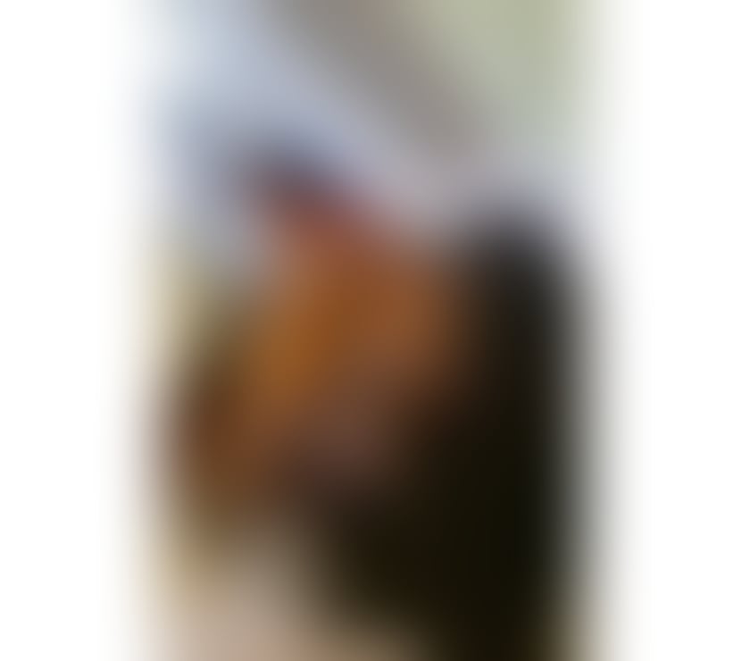 Escorts North London Holloway Road Station - North London - Photos for PARTY GFE 🇩🇴 NOT RUSH ♥️🥂Call me EVA