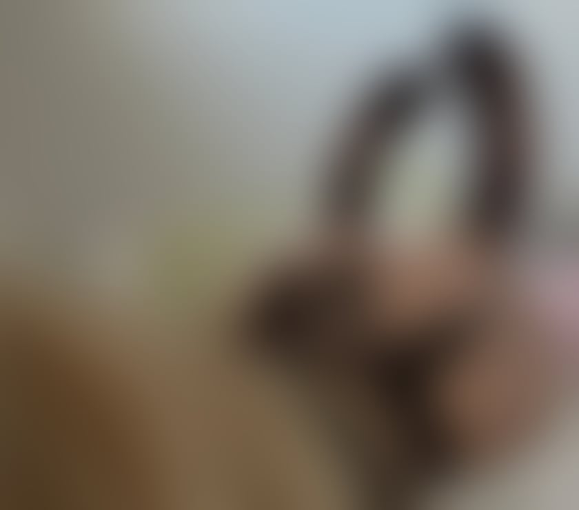 Escorts Newport - Wales Newport City Centre - Newport - Photos for Melissa hot Brazilian girl ♥️♥️🔥