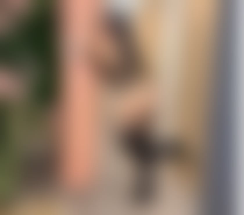 Escorts Bristol Bristol City Centre - Bristol - Photos for Mel Amorim Brazilian 🇧🇷