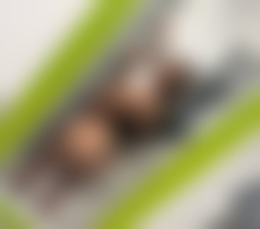 Trans Escorts North Yorkshire Middlesbrough - Photos for Yasmin Oliveira Trans