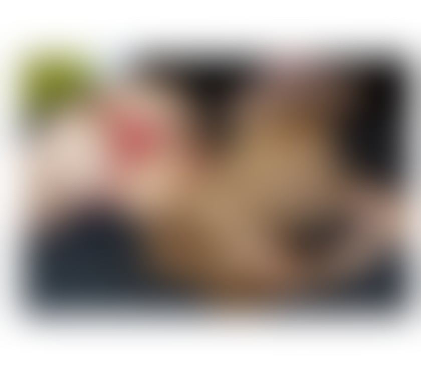 Escorts Peterborough Peterborough City Centre - Peterborough - Photos for Alis,come to have pleasure ❤️