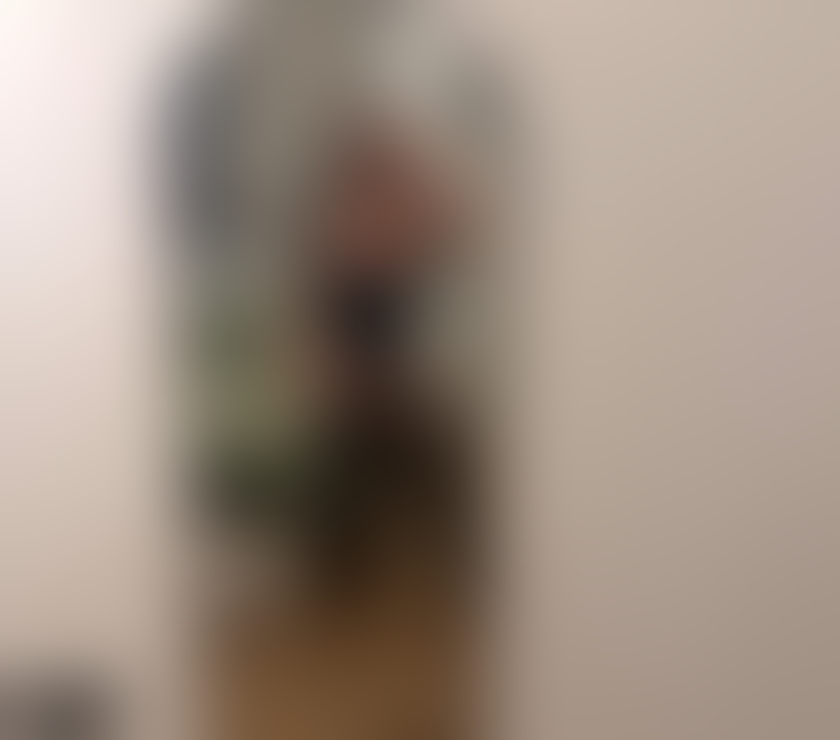 Trans Escorts Nottinghamshire Nottingham - Photos for Charlotte Brazilian