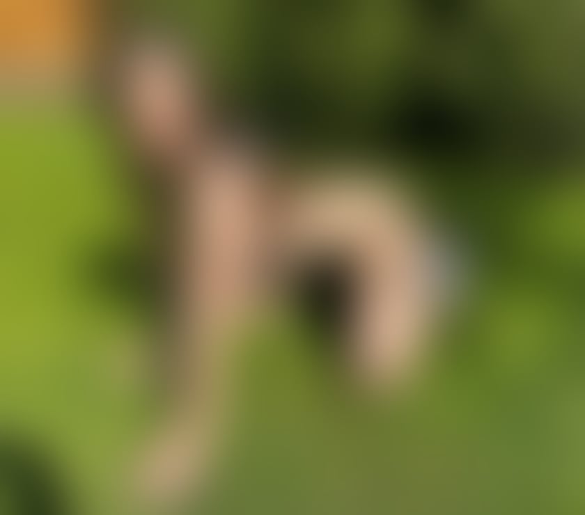 Escorts Lincolnshire Lincoln - Photos for 🔞Bombshell Party🥂?Domination ALEVEL OWO GFE💦