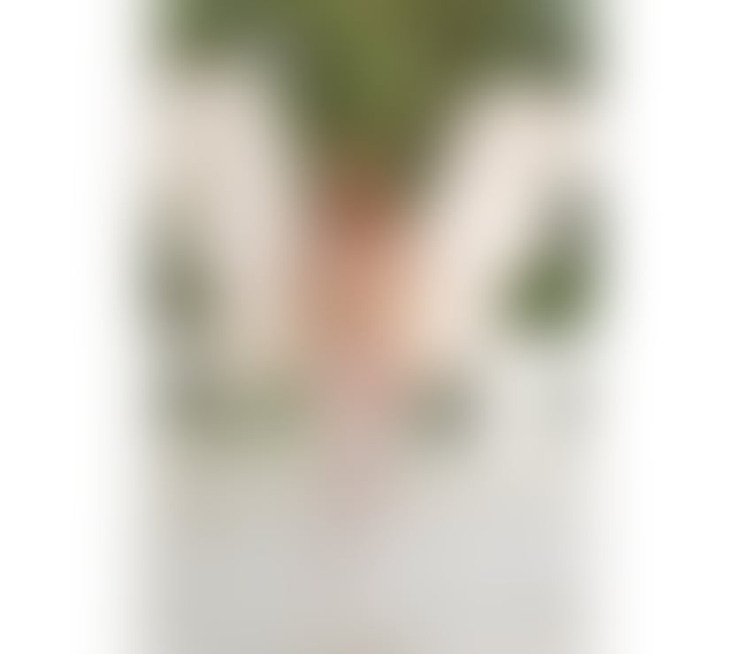 Trans Escorts Bexley Bexleyheath - Bexley - Photos for Gaby, a hot Brazilian body, party girl and very experienced