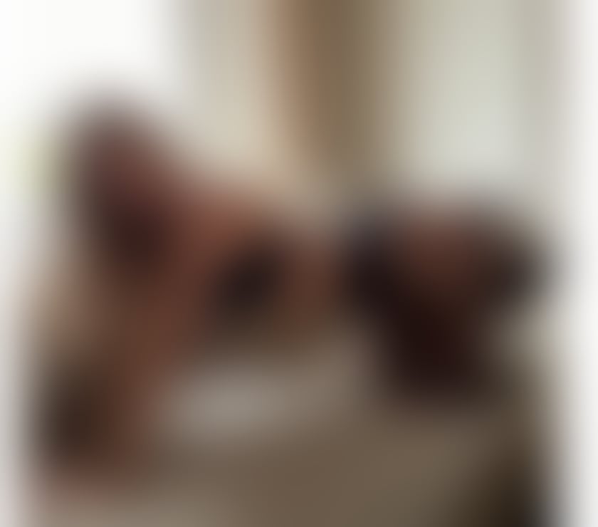  Escorts Bournemouth Bournemouth, Christchurch and Poole - Photos for BEA 🌶️ ALL NATURAL 🇧🇷 PARTY