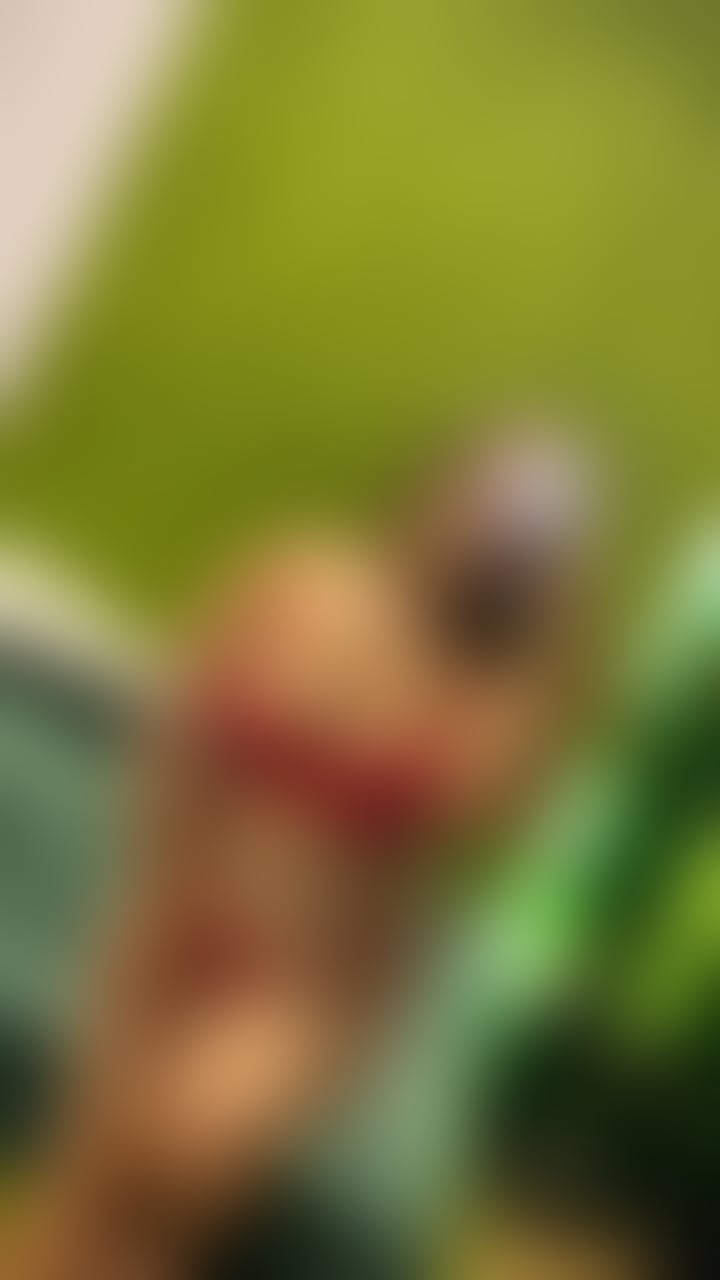 Escorts West Midlands Birmingham - 