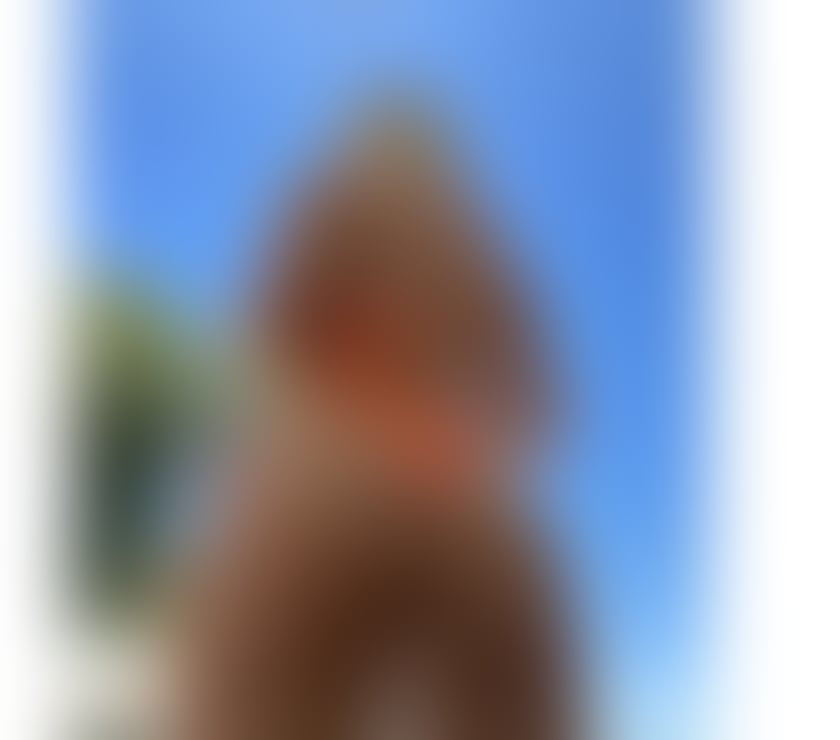 Escorts Cambridgeshire Cambridge - Photos for ✨ANNA BRAZILIAN 🇧🇷