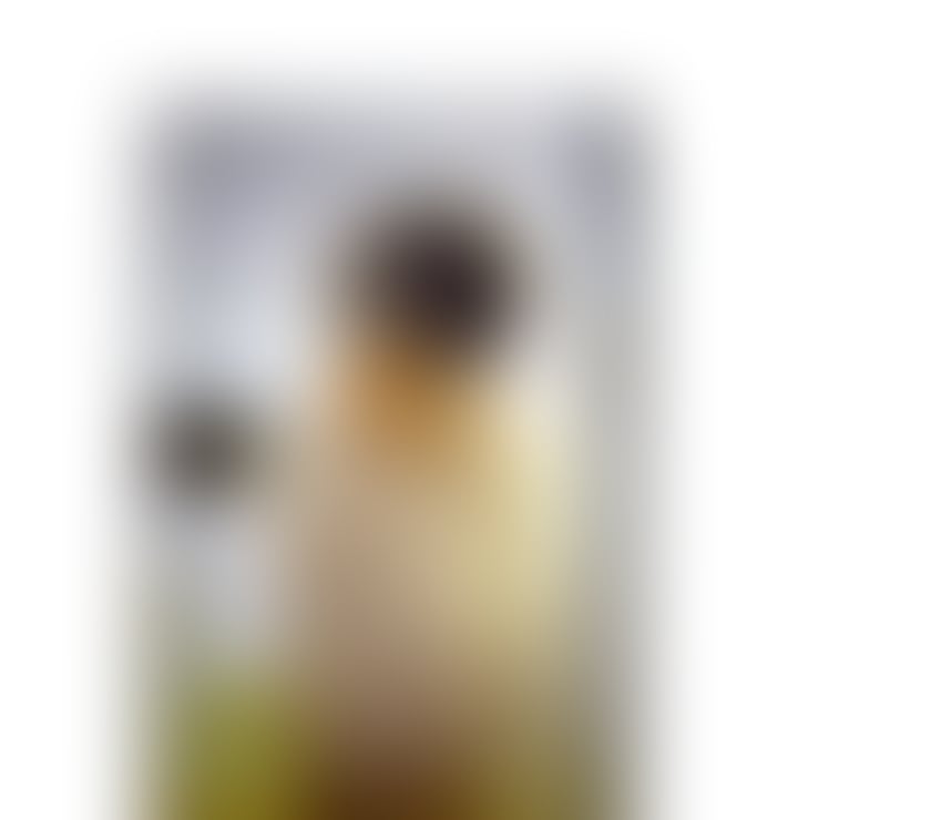 Escorts Buckinghamshire Milton Keynes - Photos for Amara professional masseuse