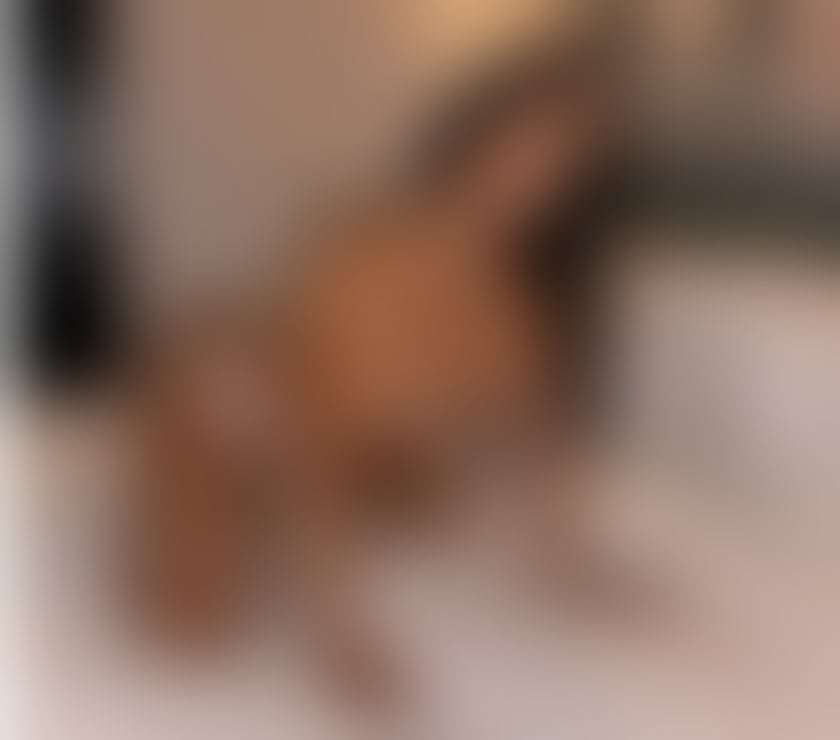 Escorts Greater Manchester Bolton - Photos for Neww escort in Cityy , No Rush! Readyy for Partyy !
