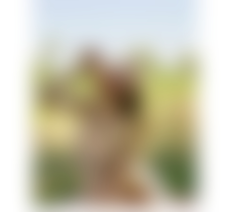 Escorts Kent Sevenoaks - Photos for Rebeca gril on your town