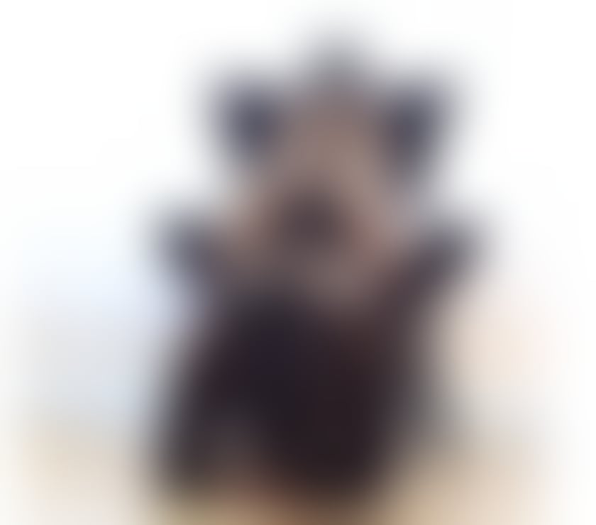Escorts West London Hounslow - Photos for 💚💚PATRICIA LADY SEXY 💚💚 BRAZILIAN ONLY 💚💚