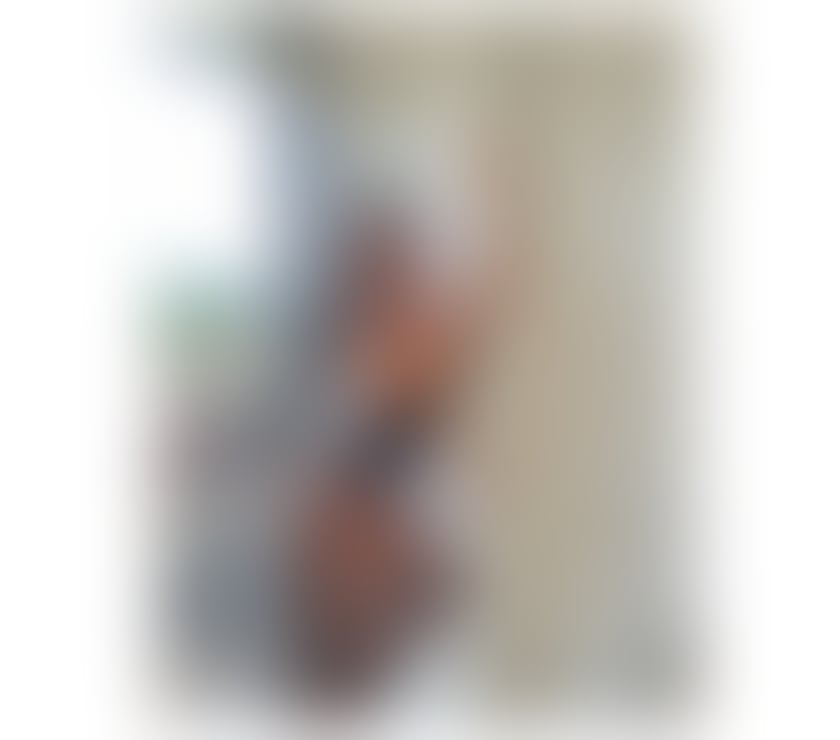 Trans Escorts West Midlands Birmingham - Photos for Ts Helisa sex hot xxl