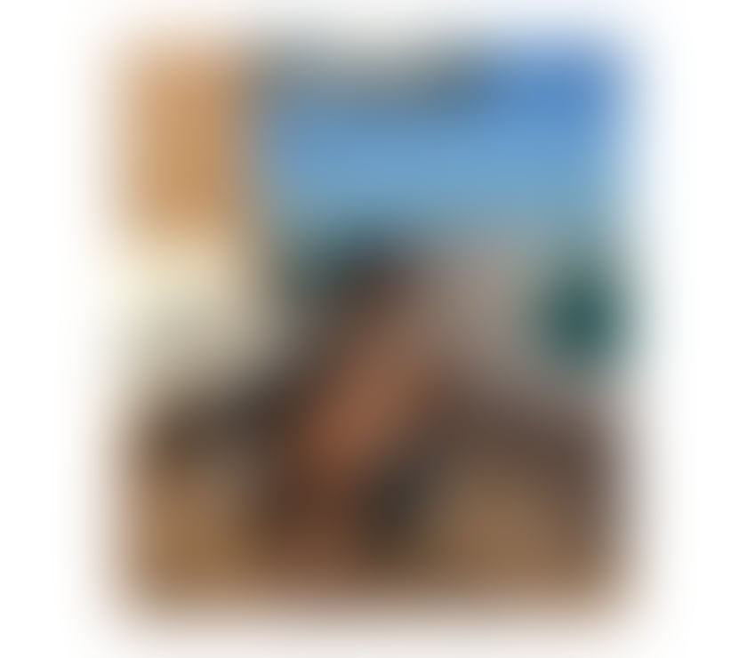 Escorts Worcestershire Worcester - Photos for Brazilian 🇧🇷 Sexy hot 🔝Party Girl