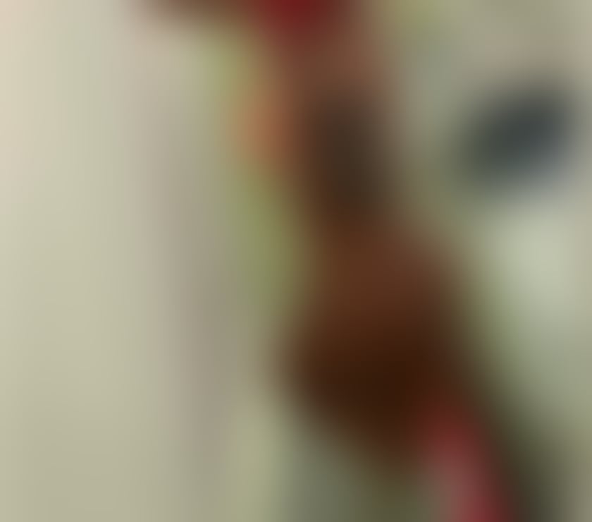  Escorts & Erotic Massage Dunston Gateshead - Photos for 🔥Latina party girl new in town 🔥