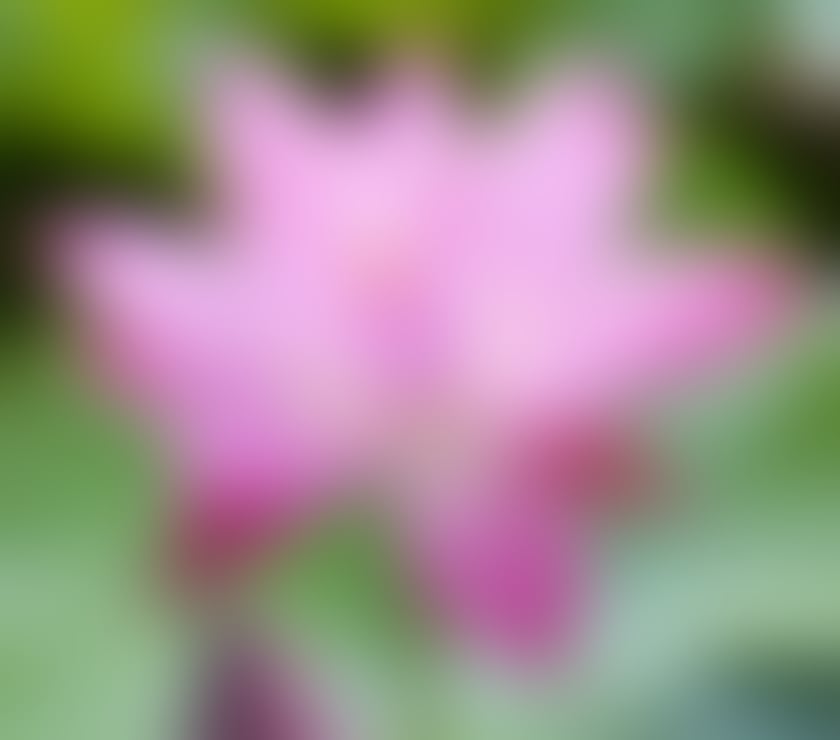 Escorts West London South Ealing Station - West London - Photos for Naturist Massage with Professional Therapist