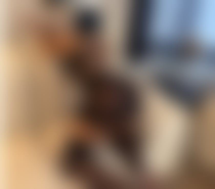 Trans Escorts West Midlands Birmingham - Photos for Brazilian Jully has just arrived in Birmingham💕