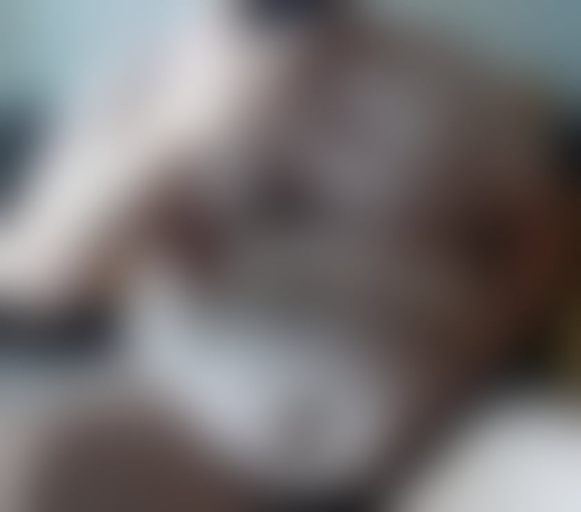  Gay massage West London Hillingdon - Photos for 2 lads, 1 fat bear and 1 hairy cub