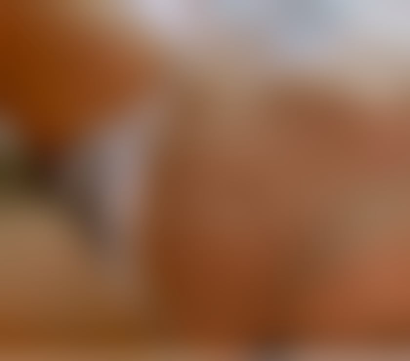 Escorts West Yorkshire Leeds - Photos for Sensual erotic lomi massage bliss