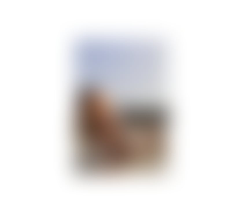Escorts Kingstanding Birmingham - Photos for Sara❣️BEST SERVICE❤️‍🔥BEST BJ💣NO RUSH❣️