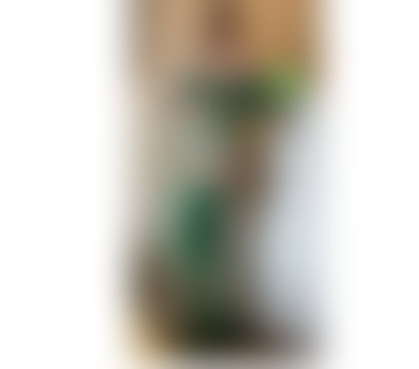 Escorts Edinburgh Edinburgh - Edinburgh - Photos for THE BEST MASSAGE FOR YOU