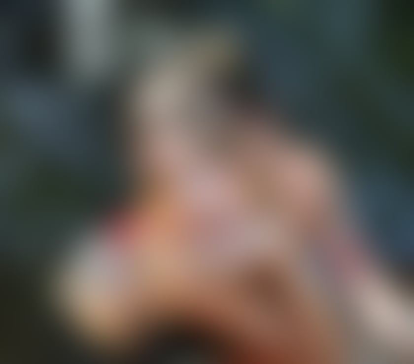 Trans Escorts Central London Tottenham Court Road - Central London - Photos for THE XXL GODNESS