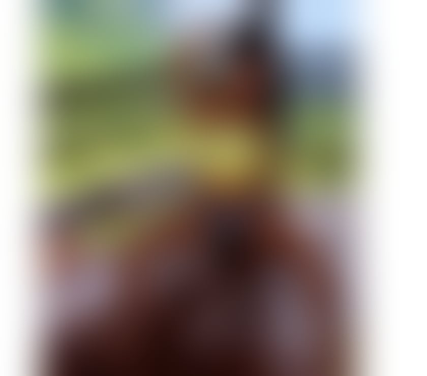 Escorts South East London Croydon - Photos for ❤️Isabella hot🔥🥳😈