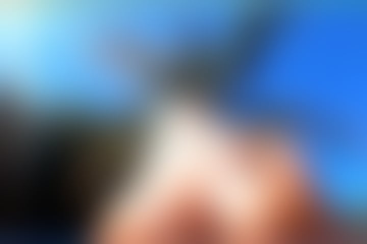 Trans Escorts West London Edgware Road - West London - 
