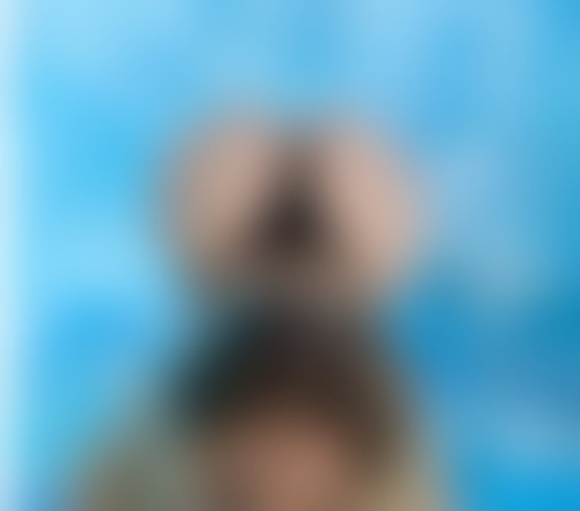 Escorts Devon Torbay - Photos for SWEET ADELLY NEW IN TOWN