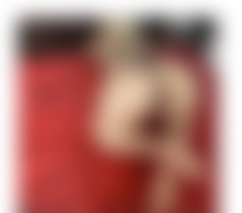 Escorts Conwy Llandudno - Conwy - Photos for OUTCALL ONLY 👅👅👅