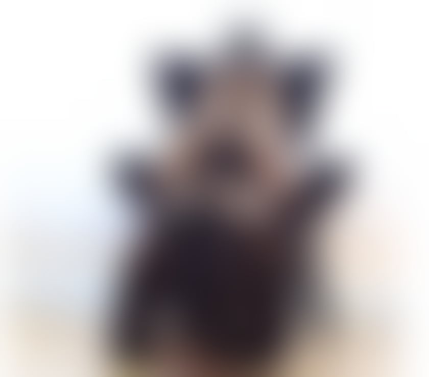 Escorts North London Finchley - North London - Photos for 💚PATRICIA LADY SEXY💚 BRAZILIAN ONLY💚