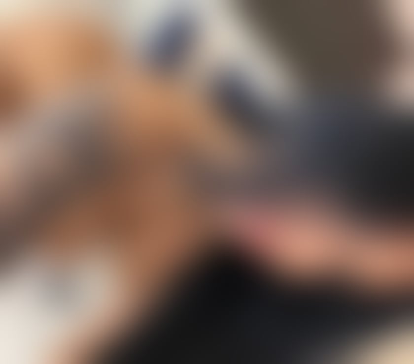Escorts Cumberland Carlisle - Cumberland - Photos for Best offer for tonight! Text for details❤️AISHA