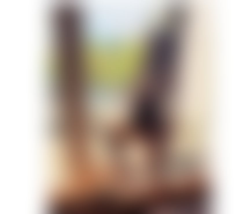 Escorts and Massages Brighton City Centre Brighton - Photos for Alina New in town