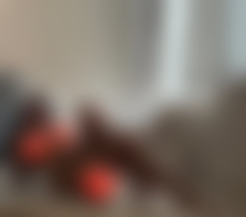 Escorts Blackburn Blackburn with Darwen - Photos for New girl in your town best bj