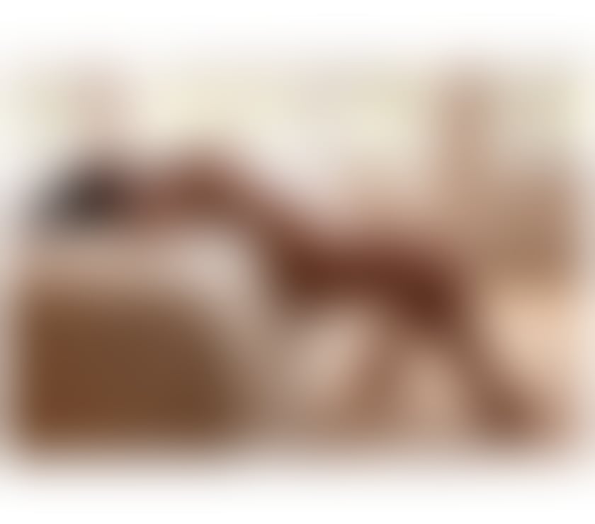 Escorts North London Archway - North London - Photos for NW1 Alina ✨ Romanian 26 - Turnpike Lane N8 💖 24H N8