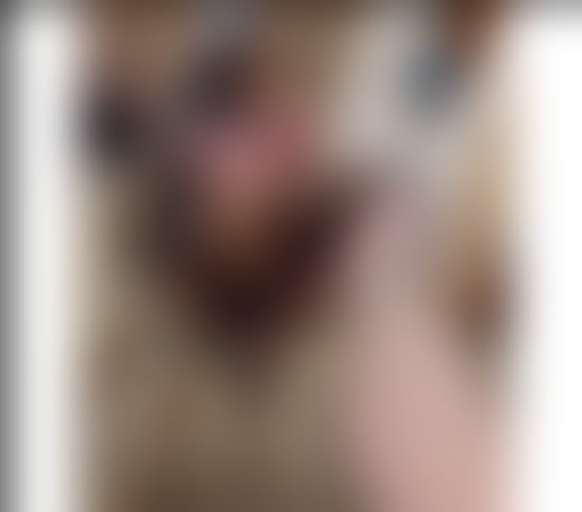 Escorts West Yorkshire Leeds - Photos for Alessia 🆕 sexy&naughty❌ no rush💯Owo&CIM🔝