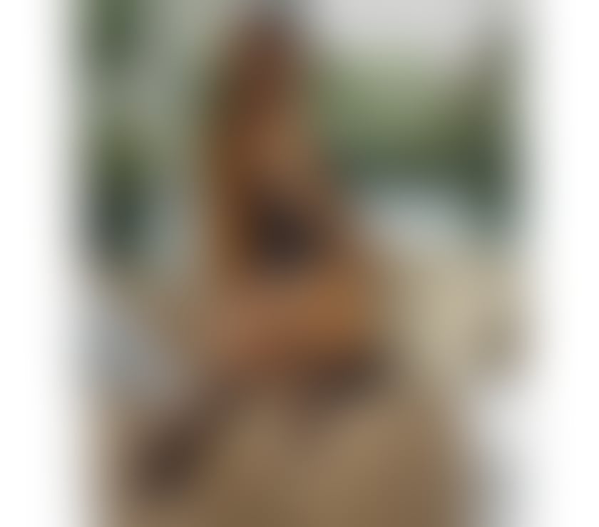 Escorts North West London Preston - North West London - Photos for 🇧🇷BIANCA PARTY GIRL🇧🇷 Brazilian 100% REAL🎉
