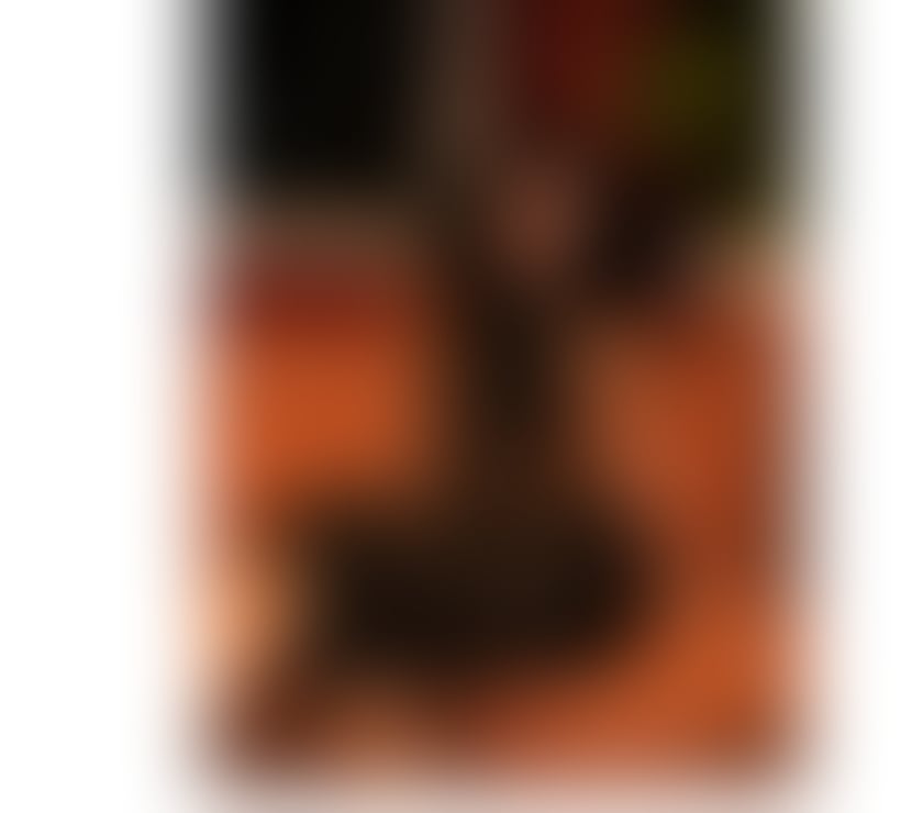 Escorts Cumberland Carlisle - Cumberland - Photos for Liz Hot Girl, No Fake, Come have fun with me.
