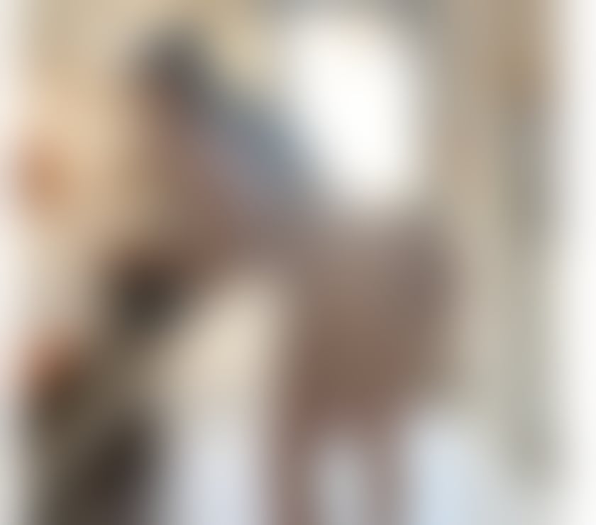 Trans Escorts Norfolk Norwich - Photos for fitness muse in norwich🍑