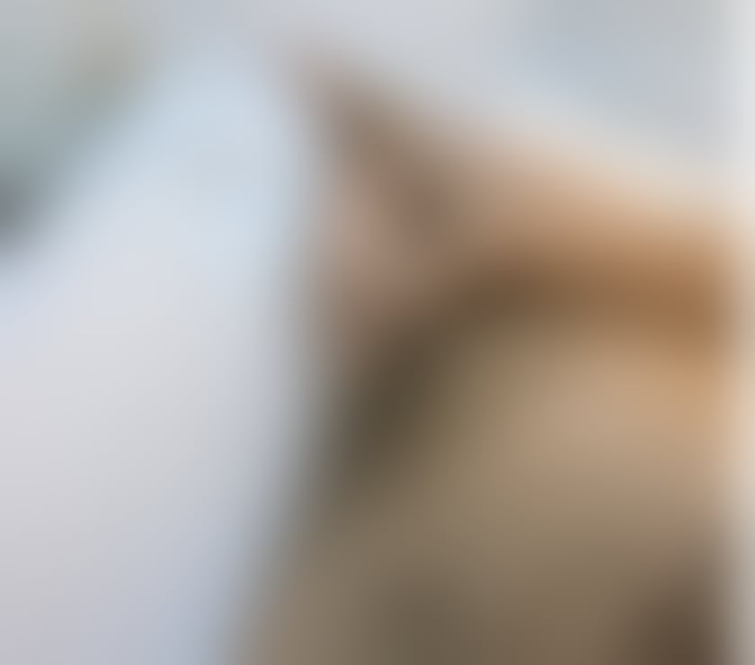 Escorts North West London Kingsbury - North West London - Photos for Male Masseure for everyone