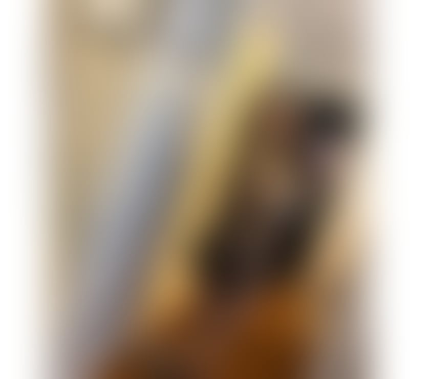 Escorts Somerset Bridgwater - Somerset - Photos for QUEEN PIERCING BJ GFE 🍑🥳