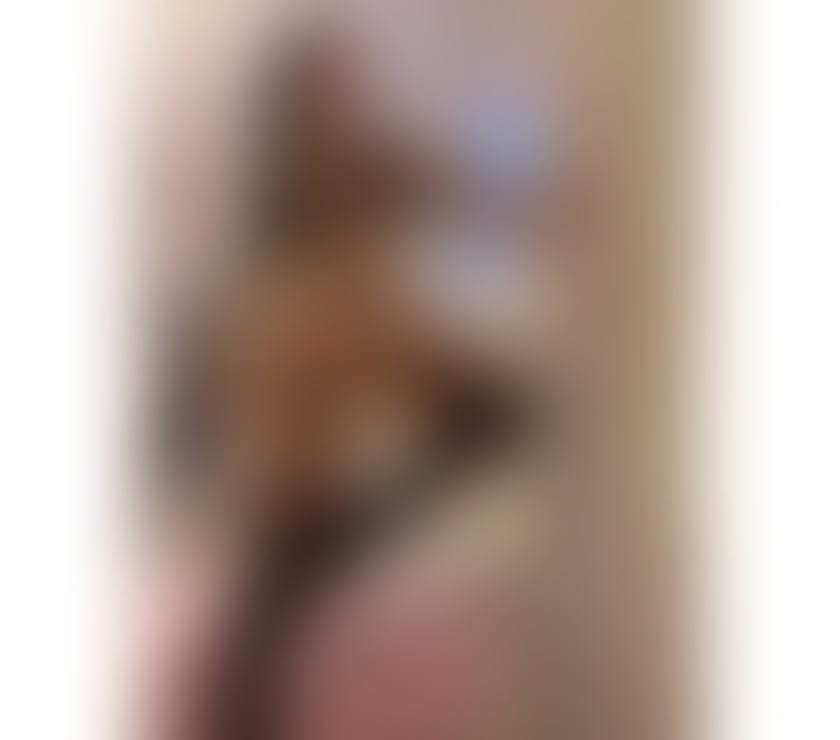 Escorts Merseyside Liverpool - Photos for JESS BEST PARTY GIRL🍒🥳