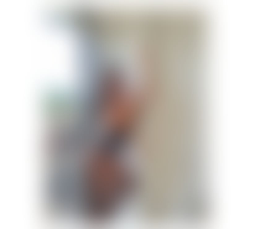 Trans Escorts West Yorkshire Leeds - Photos for Ts Helisa sex hot xxl