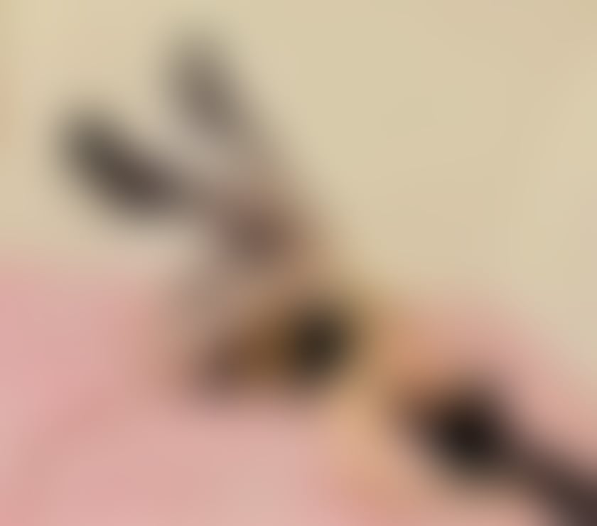 Escort Ardsley Barnsley - Photos for Best party girl 🥰Fernanda🥰