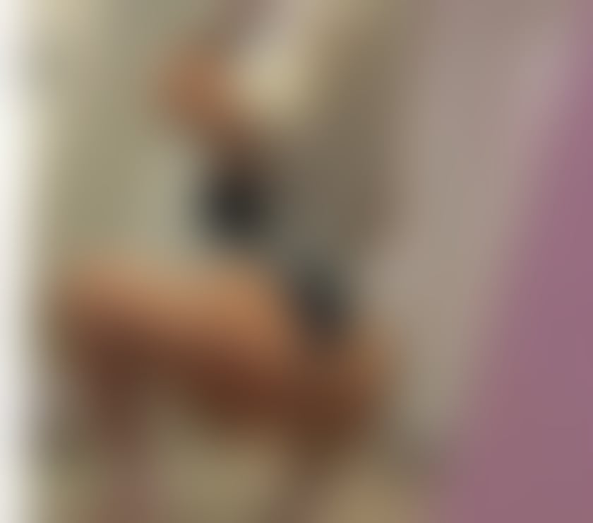 Escorts Greater Manchester Wigan - Photos for roxi I'm a new girl in your town.