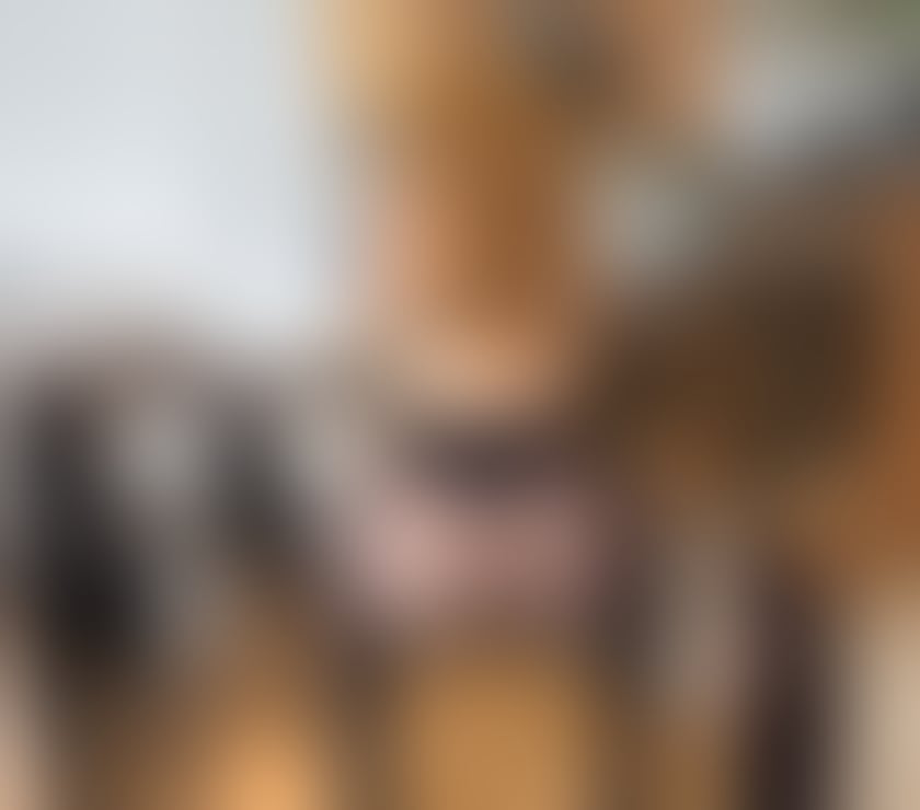 Escorts Reading Reading Town Centre - Reading - Photos for LUNA HOT❤️‍🔥🥂🥳 Latin
