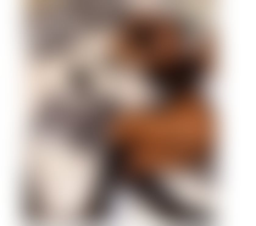 Trans Escorts Buckinghamshire Milton Keynes - Photos for Ashley brazilian